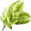 Centennial hops