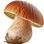 Cep