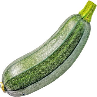 Zucchini