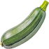 Zucchini