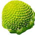 Pineappleweed