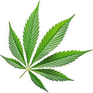 Cannabispirol