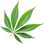 Hemp