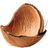 Coconut shell