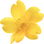 Yellow jasmine