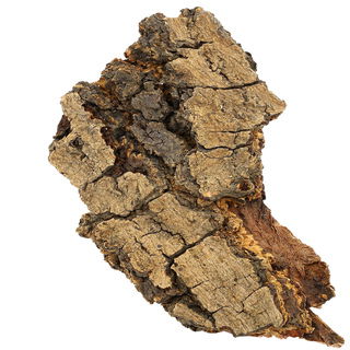 Eichenrinde