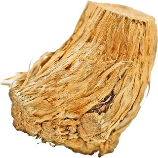 Moschuswurzel