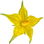 Tomato blossom