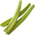 Green rhubarb