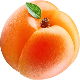 Apricot compote