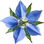 Borage