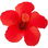 Chinesischer Roseneibisch