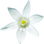 Star-of-Bethlehem