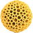 Pollen
