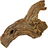 Costus root