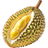 Durian fruit