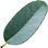 chinesischer Blauer Eukalyptus