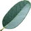 Blue gum eucalyptus
