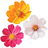 Wildblumen