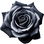 schwarze Rose