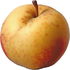 Crab apple