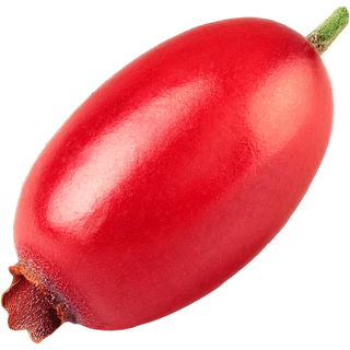 Berberitze
