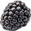 Blackberry