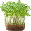 Cress