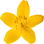 Carolina jasmine