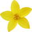 Texas yellow star