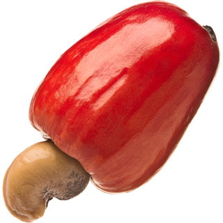 Cashewapfel