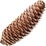 Fir cone