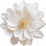 White blossoms