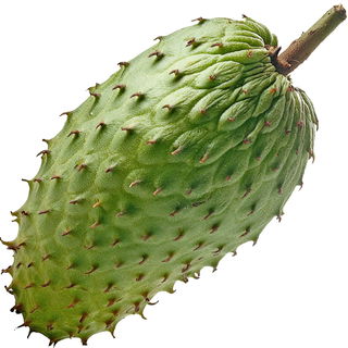 Soursop