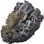 Black moss