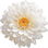 Chrysantheme Concrete