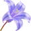 Bluebell