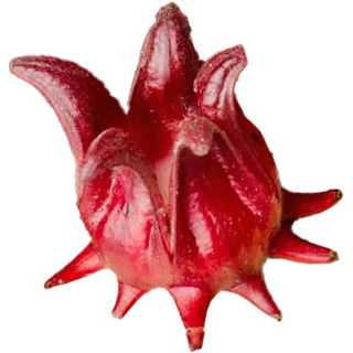 Rosella