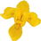 Wasseriris