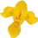 Wasseriris