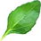 Goji-Blatt