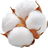 Cotton
