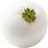 Snowberry