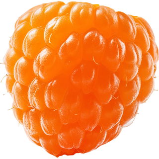 Yellow raspberry