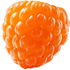 Yellow raspberry