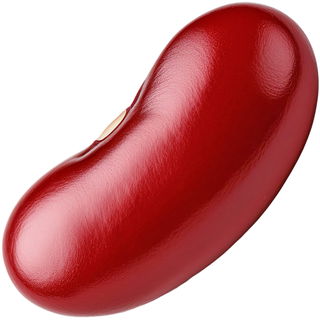 Kidneybohne