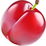 American plum