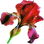 rote Iris