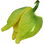 Soursop blossom