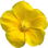 Mimulus